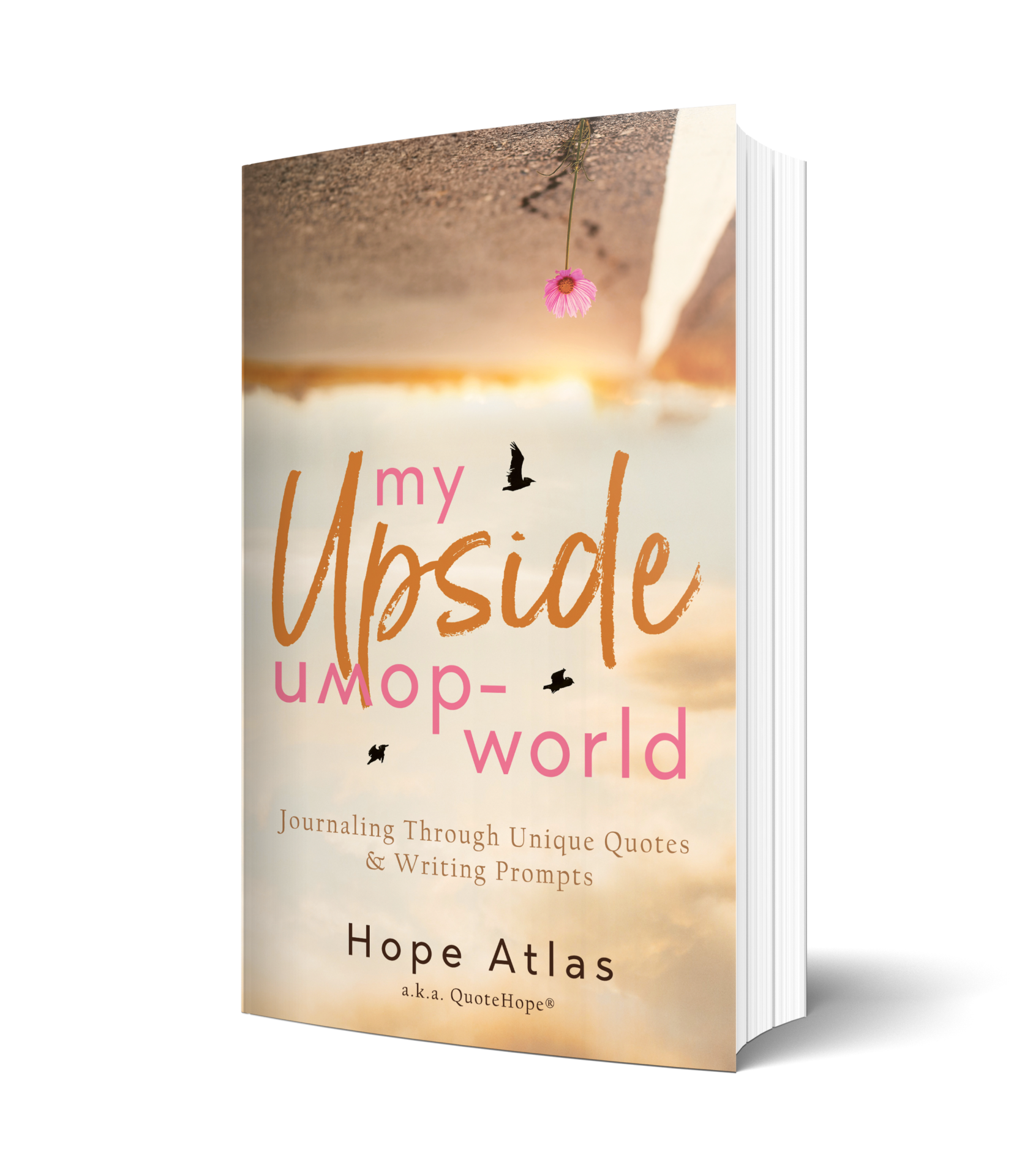 My Upside-Down World_3Dcov